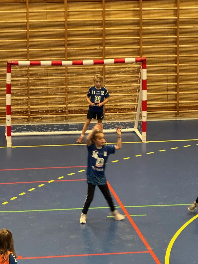 Hanball 3