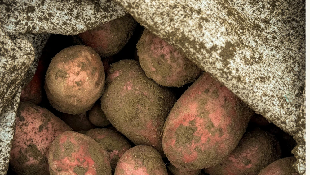 34