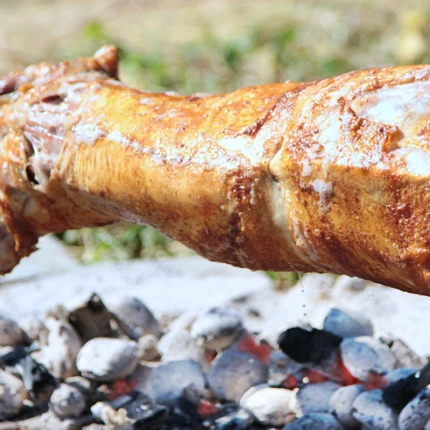 Grill for helgrillet dyr - inkl. kull, etc.